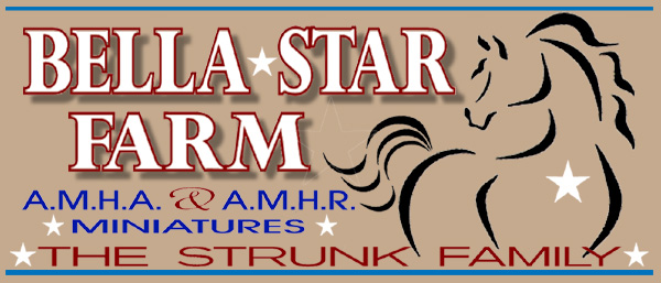 Bella Star Farm Logo